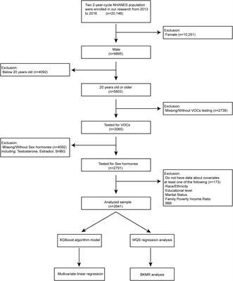 Multiple statistical models reveal specific volatile organic compounds affect sex hormones in American adult male: NHANES 2013–2016